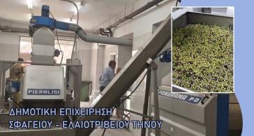 Τήνος: Τη Δευτέρα 12 Οκτωβρίου η έναρξη του ελαιοτριβείου