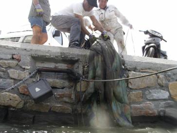 Οικολογική συνείδηση... στην πράξη