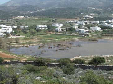 Στο σφυρί