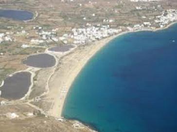 Προστατεύστε τις προστατευόμενες