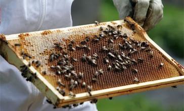 “Η άγνοια φέρνει φόβο”