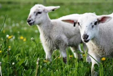 Σεμινάρια κατάρτισης στον πρωτογενή τομέα παραγωγής