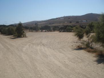 Ένα μικρό κεδρόδασος στην Αντίπαρο