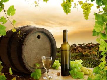 Αξιολόγηση οινοποιήσιμων ποικιλιών Πάρου - Αντιπάρου