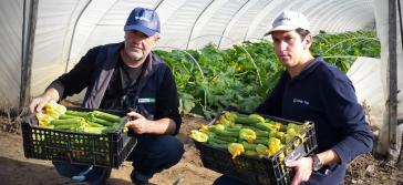 Προετοιμασία για την παραδοσιακή γιορτή κολοκυθιού