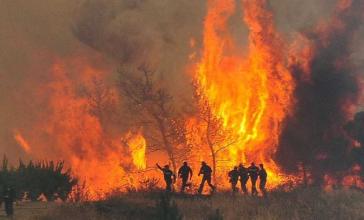 Οργανώνονται οι εθελοντές 