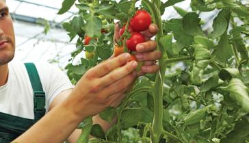 Πρόσκληση για στήριξη βιολογικής καλλιέργειας 