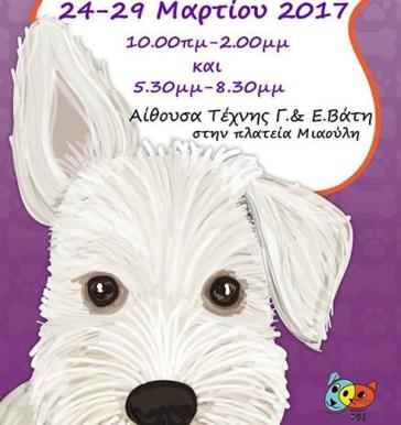 Bazaar Φιλοζωικής Ομάδας Σύρου 