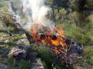 Απαγόρευση καύσης χόρτων και κλαδιών