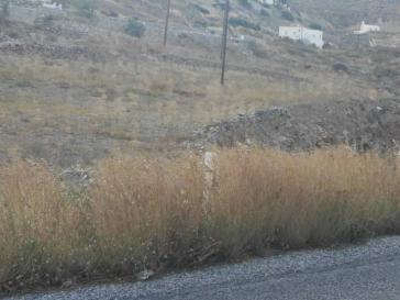 Ούτε τα στοιχειώδη...