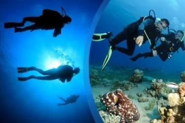 Καταδυτικά πάρκα στο Ν. Αιγαίο 