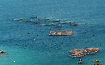 Μέτρα υδατοκαλλιέργειας 