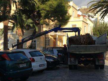 Φοίνικες προσβλήθηκαν από σκαθάρι... στο κηπάριο του Ι.Ν. Αγ. Νικολάου 