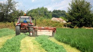 Αποζημιώσεις σε αγρότες και κτηνοτρόφους των Κυκλάδων 