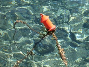 Έκθεση φωτογραφίας του Timothy Ashplant