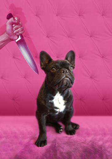 Δυόμισι φόνοι κι ένα μπουλντόγκ