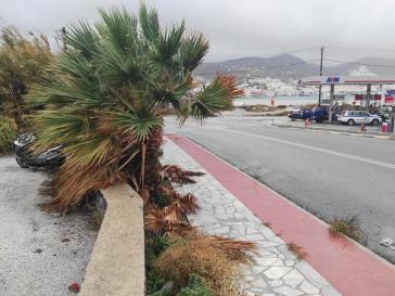 Απόλυτη καταστροφή 