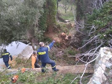 Κοπή επικίνδυνων δέντρων στην Άνδρο