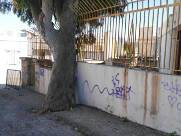 Δεν συντρέχει λόγος κοπής δέντρων 