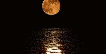 Στις 16 Αυγούστου η 2η Μουσική βραδιά με Πανσέληνο