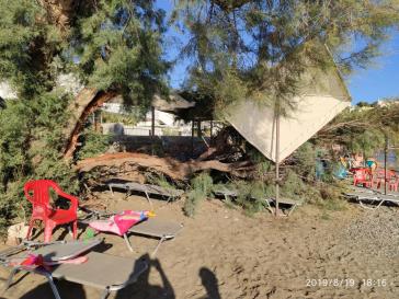 Τραυματισμός λουόμενης στον Φοίνικα από πτώση δέντρου 