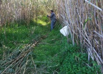 Εθελοντικός καθαρισμός ρέματος στην Ποσειδωνία 