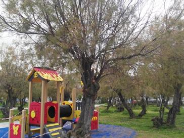 Φροντίδα και περιποίηση πρασίνου 