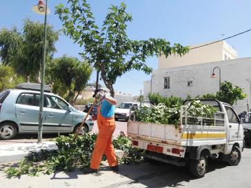  Φροντίδα πρασίνου στην πλατεία Πρασακάκη 