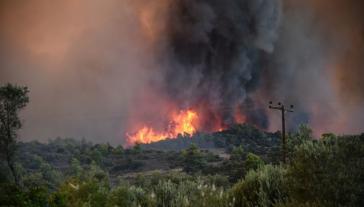 Πόσο βοήθησε η πρόσφατη κακοκαιρία στη μείωση της ευφλεκτότητας των δασών
