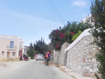 Καθαρισμός παρόδιας βλάστησης σε επαρχιακούς δρόμους 