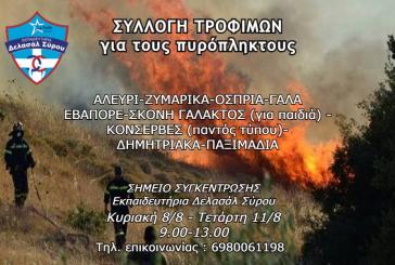 Συλλογή τροφίμων από τα Εκπαιδευτήρια Δελασάλ Σύρου για τους πυρόπληκτους 