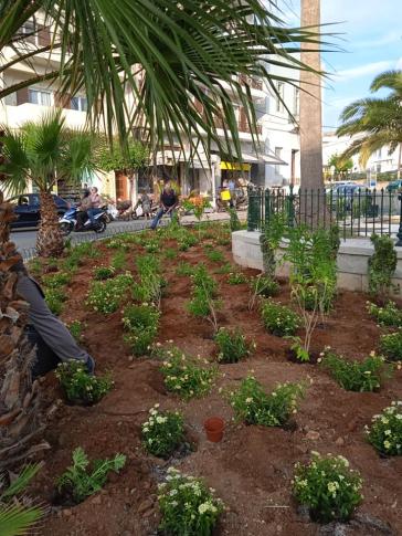 “Πρασίνισε” από φροντίδα η πλατεία Ηρώων  