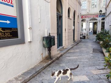 Απαιτείται φροντίδα και συμμάζεμα στην οδό Ανάφης