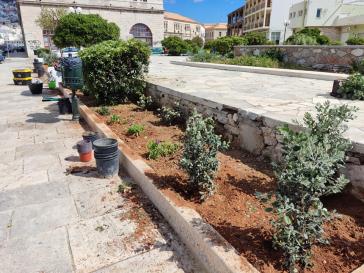 “Άνθισαν” τα παρτέρια της πλατείας στο Νησάκι 