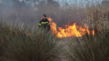 Πάρος: Πυρκαγιά σε χαμηλή βλάστηση στις Λεύκες – Επιχειρούν εναέρια μέσα
