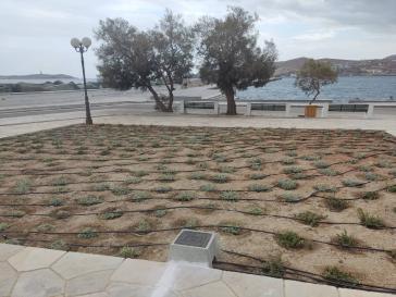   Αναζωογόνηση και παραφωνίες  