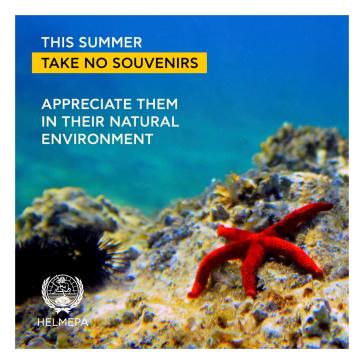 HELMEPA: Μην παίρνεις "σουβενίρ" από τη θάλασσα 
