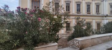 Υποβαθμισμένη εικόνα παρά την ύπαρξή του 