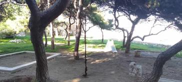 Εκκρεμότητες και επικινδυνότητα στο μικρό άλσος  