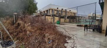 Κλαδεύτηκαν κι αφέθηκαν γύρω από τα γήπεδα 