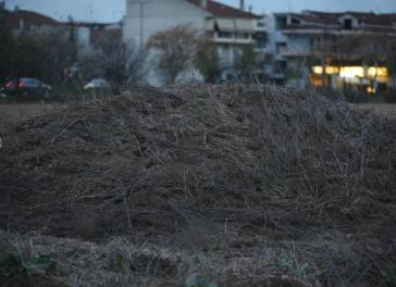 Λάρισα: Συνοικία γέμισε ποντίκια -  Ανησυχία για τη δημόσια υγεία 