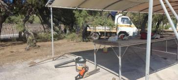 Κλαδέματα και ξεχορτάριασμα στο δημοτικό αλσύλλιο