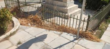 Ξεραίνονται… κεντρικά κηπάρια 