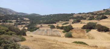 Αυξημένα αντανακλαστικά για τα φωτοβολταϊκά πάρκα στη Σύρο 