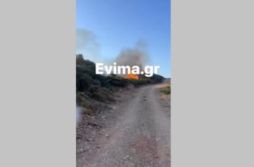 Εύβοια: Σε εξέλιξη πυρκαγιά - Ζητήθηκαν εναέρια μέσα