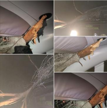 Ατύχημα με τρένο στις Αφίδνες: Το δέντρο μπήκε στην καμπίνα του μηχανοδηγού