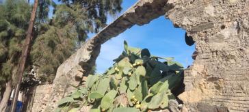 Επικινδυνότητα για πεζούς και οδηγούς 