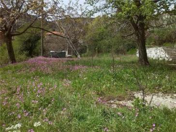 Καταπατημένα Δημοσίου: Υποβλήθηκαν οι πρώτες 1.000 αιτήσεις για εξαγορά