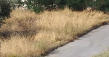  Δηλώθηκαν 2.600 καθαρισμοί οικοπέδων για τη Σύρο 