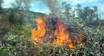 Πυροπροστασία στην ύπαιθρο: Αυστηρές κυρώσεις για τους παραβάτες